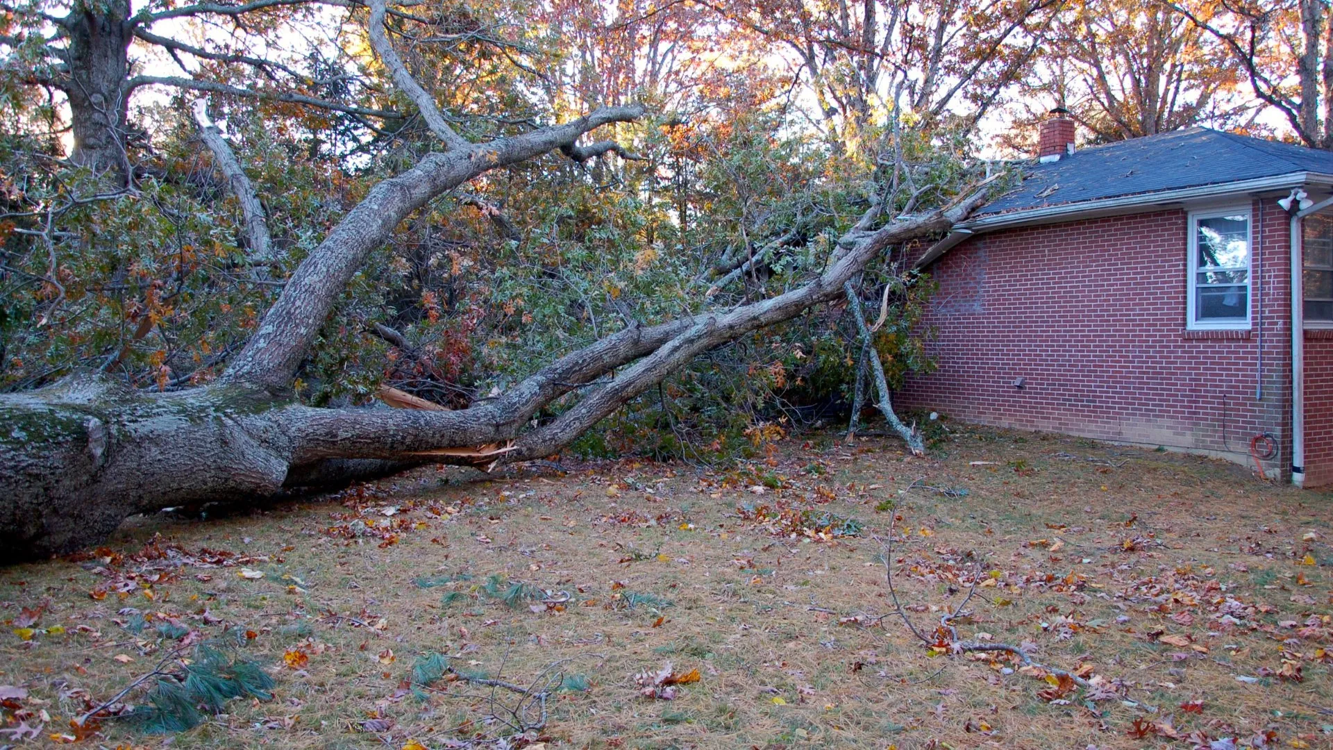 Emergency Roof Repair
