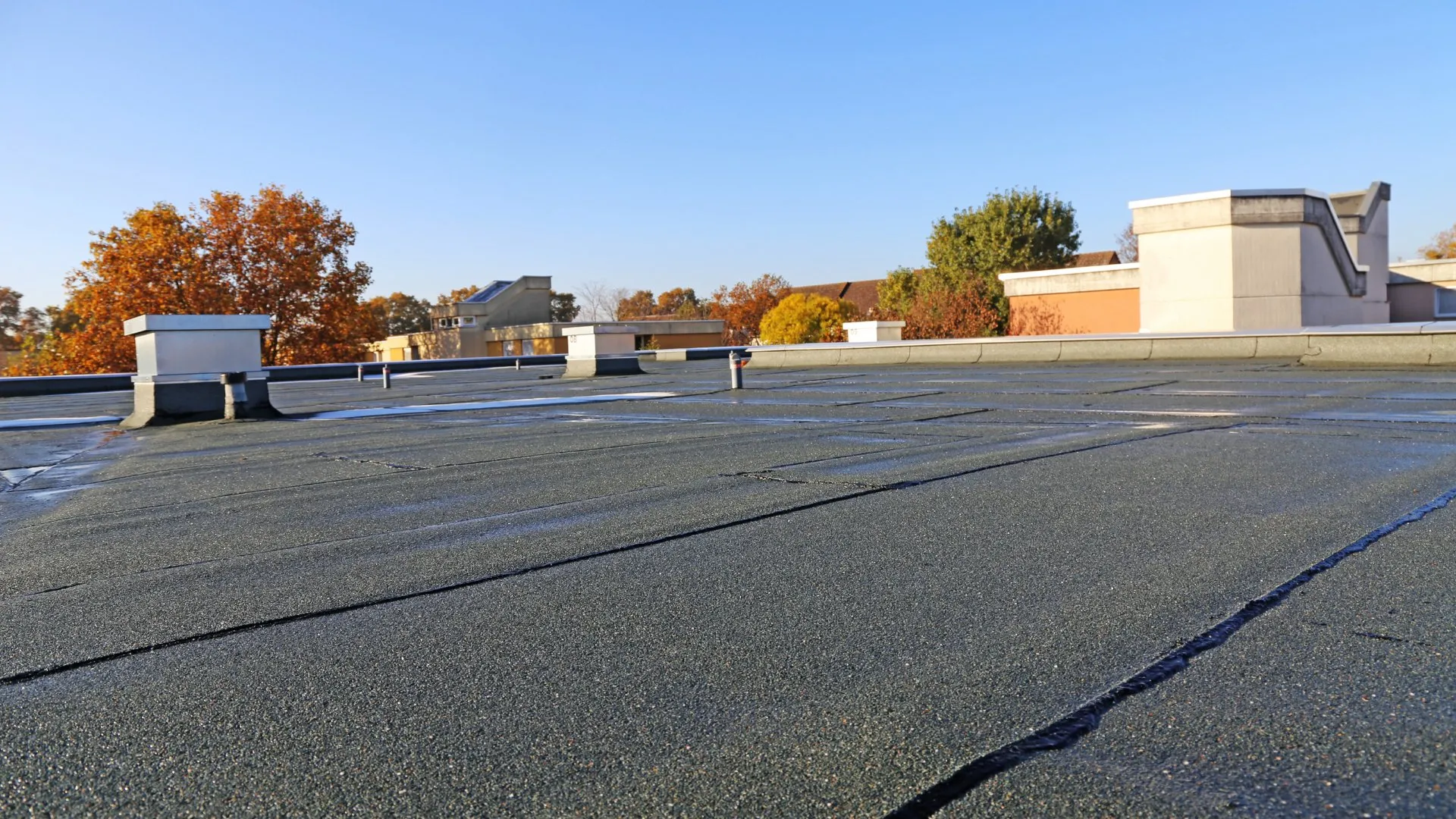 Flat Roof